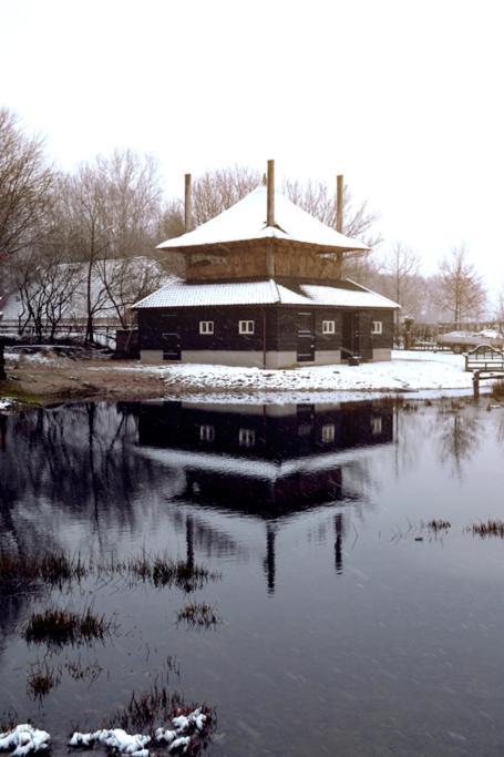 Bed and Breakfast Landgoed Groot Boerle Wijhe Exterior foto