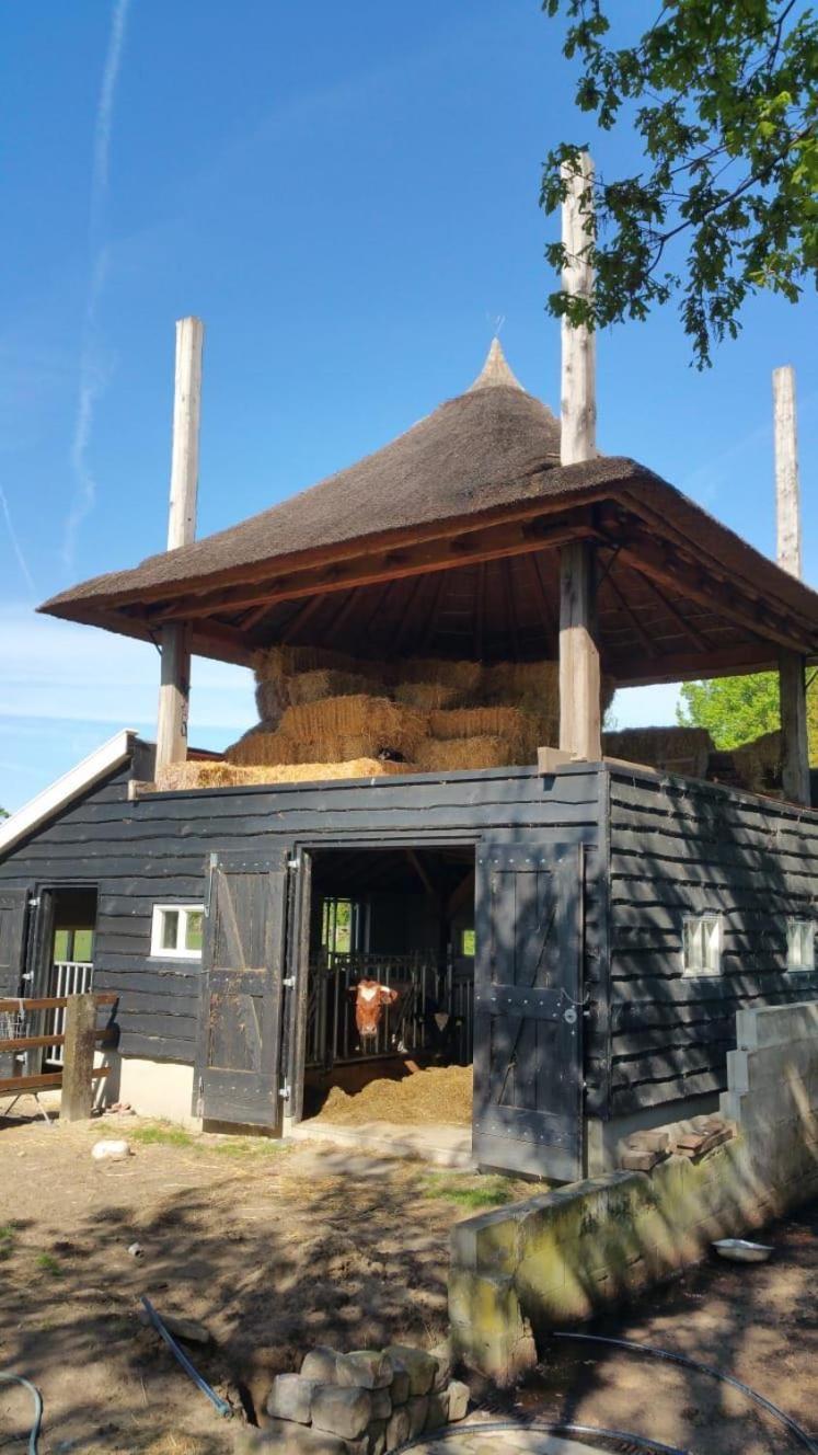 Bed and Breakfast Landgoed Groot Boerle Wijhe Exterior foto