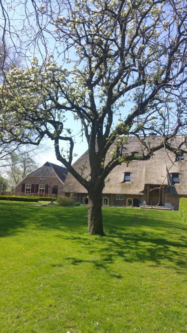 Bed and Breakfast Landgoed Groot Boerle Wijhe Exterior foto